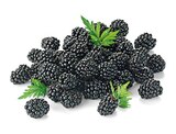 Brombeeren im Angebot bei REWE in Oranienburg Brombeeren Angebote bei REWE Oranienburg für 1,99 €