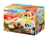 La maison des escargots - BUKI en promo chez Truffaut Joué-lès-Tours à 17,90 €