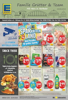 EDEKA Prospekt "Aktuelle Angebote" mit  Seiten (Witten)