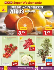 Palme im Netto Marken-Discount Prospekt in Essen Aktueller Netto Marken-Discount Prospekt mit Palme, "Aktuelle Angebote", Seite 48