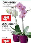 Aktuelle Zimmerpflanzen Angebote bei Wreesmann in Dresden Aktuelles ORCHIDEEN Angebot bei Wreesmann in Dresden ab 3,49 €