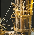 Aktuelles LED-Lichterkette Angebot bei Thomas Philipps in Essen ab 7,99 €