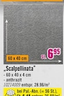 Aktuelles Scalpellinata Angebot bei Hornbach in Saarbrücken ab 6,45 €