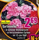 Hornbach Möglingen Prospekt mit  im Angebot für 2,69 €