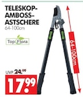 TELESKOP-AMBOSS-ASTSCHERE im Angebot bei Wreesmann in Cottbus TELESKOP-AMBOSS-ASTSCHERE Angebote von Top Flora bei Wreesmann Cottbus für 17,99 €