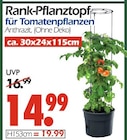 Rank-Pflanztopf Angebote bei Wreesmann Dresden für 14,99 €