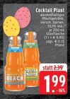 Aktuelles Sex on the Beach Angebot bei EDEKA in Mönchengladbach ab 1,99 €