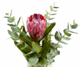 Schnittblumen im Pflanzen Kölle Prospekt Strauß »Sylvia« im aktuellen Pflanzen Kölle Prospekt für 7,99 €