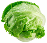 Eisbergsalat bei ALDI Nord im Paderborn Prospekt für 0,89 €