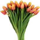 Großbund Tulpen Angebote bei Netto Marken-Discount Lehrte für 4,99 €