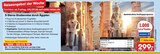 5-Sterne-Studienreise durch Ägypten im Angebot bei Netto Marken-Discount in Wolfsburg 5-Sterne-Studienreise durch Ägypten Angebote bei Netto Marken-Discount Wolfsburg für 299,00 €