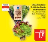 Aktuelles Fränkisches Salatrio mit Wurzelballen Angebot bei Marktkauf in Nürnberg ab 1,11 €