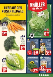 Blumen im EDEKA Prospekt in Menden Aktueller EDEKA Prospekt mit Blumen, "Aktuelle Angebote", Seite 5