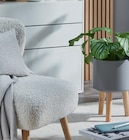 Übertopf Metall/Holz für 19,95 € bei Sconto SB im Angebot Übertopf Metall/Holz im aktuellen Sconto SB Prospekt