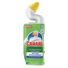 Gel nettoyant WC - CANARD - Carrefour Market à Joué-lès-Tours Gel nettoyant WC - CANARD en promo chez Carrefour Market Joué-lès-Tours à 1,51 €