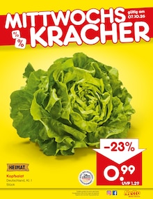 Salat im aktuellen Netto Marken-Discount Prospekt (Essen) Salat im Netto Marken-Discount Prospekt "Aktuelle Angebote" mit 70 Seiten (Essen)