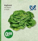 Kopfsalat im V-Markt Prospekt Kopfsalat im aktuellen V-Markt Prospekt für 0,69 €