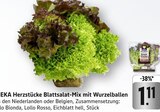 Herzstücke Blattsalat-Mix mit Wurzelballen Angebote von EDEKA bei E center Rüsselsheim für 1,11 €