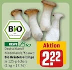 REWE Neulußheim - Bio Kräuterseitlinge Angebot im Prospekt Bio Kräuterseitlinge bei REWE im Neulußheim Prospekt für 2,22 €