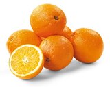 Bio Orangen von Rewe Bio im aktuellen REWE Prospekt für 1,79 €
