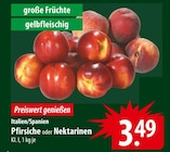 famila Nordost Stockelsdorf Prospekt mit  im Angebot für 3,49 €