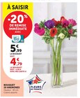 Promo Bouquet 10 Anemones à 4,79 € dans le catalogue U Express à Dompierre-sur-Mer