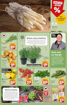 Gartenerde im REWE Prospekt "Dein Markt" mit 42 Seiten (Darmstadt)