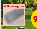 Wühlmausgitter im Angebot bei Penny in Pforzheim Wühlmausgitter Angebote von romberg bei Penny Pforzheim für 12,99 €
