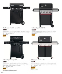 Offre Plancha dans le catalogue Gamm vert du moment à la page 38