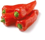 Spitzpaprika rot bei Netto mit dem Scottie im Grimma Prospekt für 1,49 €