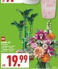 Blumen-Set im Angebot bei Marktkauf in Gelsenkirchen Blumen-Set Angebote von LEGO bei Marktkauf Gelsenkirchen für 19,99 €