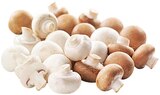 Champignon-Mischung Angebote von REWE Regional bei REWE Völklingen für 2,29 €