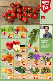 Aktueller REWE Prospekt mit Erdbeeren, "Dein Markt", Seite 9