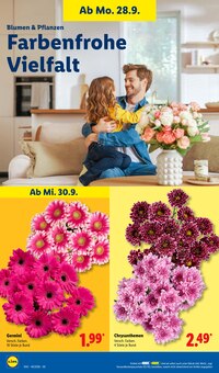 Blumen im aktuellen Lidl Prospekt (Jena) Blumen im Lidl Prospekt "LIDL LOHNT SICH" mit 71 Seiten (Jena)