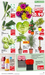Garten Angebot & Preis im aktuellen Kaufland Prospekt Garten Angebot im aktuellen Kaufland Prospekt auf Seite 15
