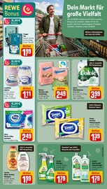 Shampoo im REWE Prospekt in Memmingen Aktueller REWE Prospekt mit Shampoo, "Dein Markt", Seite 15