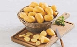 Pomme de terre nouvelle récolte à chair ferme à U Express dans Saint-Denis-le-Thiboult Pomme de terre nouvelle récolte à chair ferme à U Express dans Saint-Denis-le-Thiboult