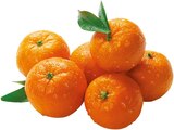 Clementinen im REWE Prospekt Clementinen von REWE Bio im aktuellen REWE Prospekt fĂĽr