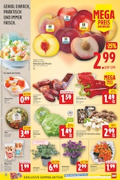 Paprika Angebot & Preis im aktuellen E center Prospekt Paprika Angebot im aktuellen E center Prospekt auf Seite 2