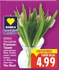 Herzstücke Premium-Tulpen Angebote von EDEKA bei E center Berlin für 4,99 €