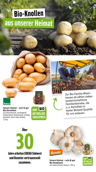 Kartoffeln im EDEKA Prospekt "Aktuelle Angebote" mit 74 Seiten (Frankfurt (Main))