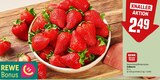 Erdbeeren im Angebot bei REWE in Hildesheim Erdbeeren Angebote von REWE Beste Wahl bei REWE Hildesheim für 2,49 €