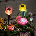 Solarstecker TULPE oder Solarstecker mit Tierfigur im Angebot bei Penny in Koblenz Solarstecker TULPE oder Solarstecker mit Tierfigur Angebote bei Penny Koblenz für 1,49 €