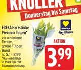 Premium Tulpen Angebote von EDEKA Herzstücke bei nah und gut Zwickau für 3,99 €