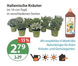 Italienische Kräuter im V-Markt Prospekt Italienische Kräuter von im aktuellen V-Markt Prospekt für 2,79 €
