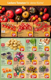 Ähnliche Erdbeerpflanzen Angebote im Prospekt "Dein Markt" von REWE in Bielefeld Ähnliche Angebote wie Erdbeerpflanzen im Prospekt "Dein Markt" auf Seite 7 von REWE in Bielefeld
