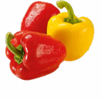 Bio Paprika Mix im Angebot bei Netto Marken-Discount in Kempten Bio Paprika Mix Angebote von BioBio bei Netto Marken-Discount Kempten
