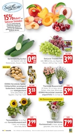 Blumen im EDEKA Prospekt in Lahr Aktueller EDEKA Prospekt mit Blumen, "Aktuelle Angebote", Seite 6