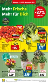 Blumen im Lidl Prospekt in Heidenheim Aktueller Lidl Prospekt mit Blumen, "LIDL LOHNT SICH", Seite 2