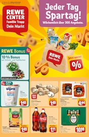Aktueller REWE Discounter Prospekt in Hainburg und Umgebung, "Dein Markt" mit 34 Seiten, 28.04.2025 - 03.05.2025